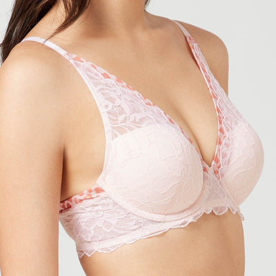 Stylist Memory Foam Plunge Push Up Lace Bra Bra Her Own Words 